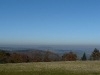 p1100196