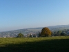p1100285